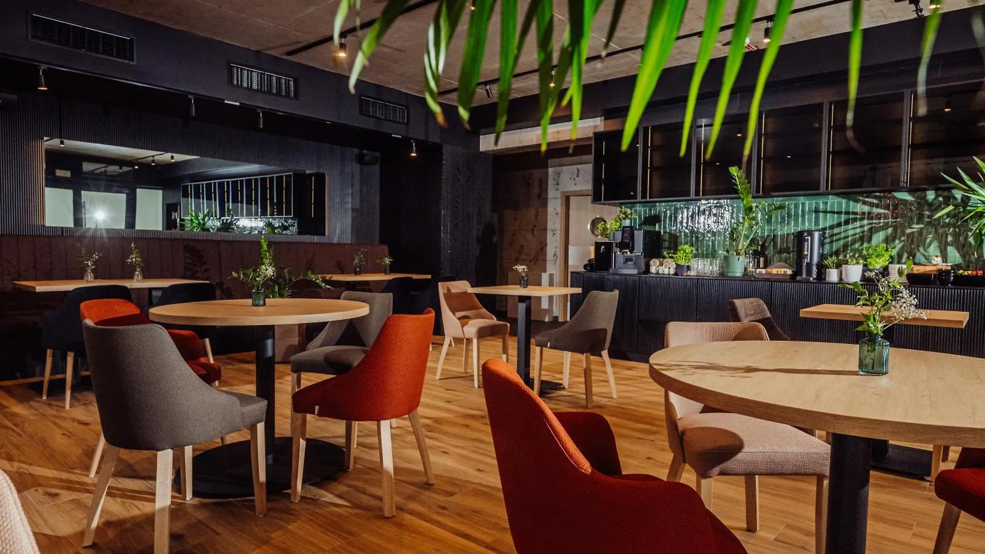 Nourt Rooms & Kitchen Karpacz Poland